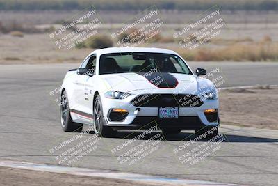 media/Nov-01-2025-PCA Central Coast (Sat) [[5e27ded23e]]/White Group/Grapevine/